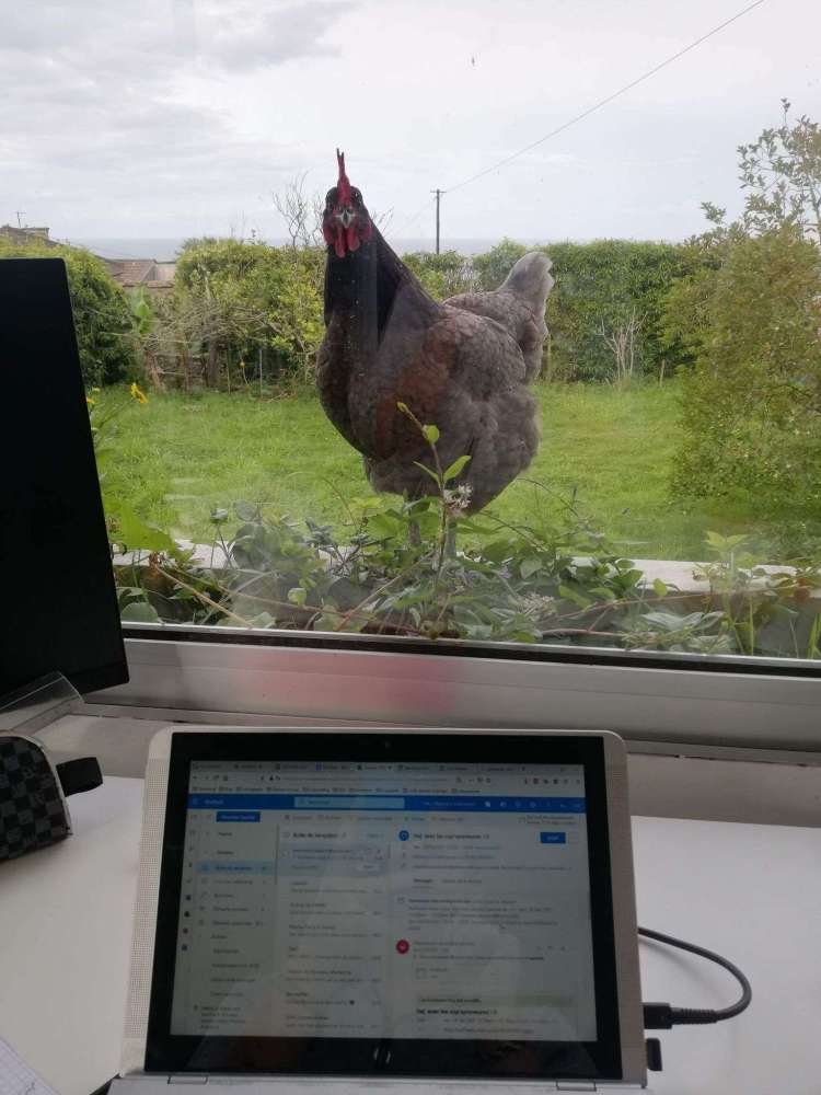 digital nomad coliving