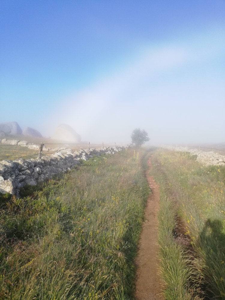 agressions chemin de compostelle