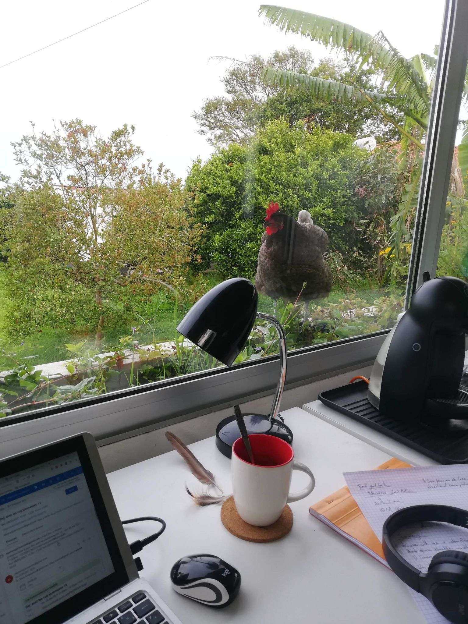 coliving digital nomad