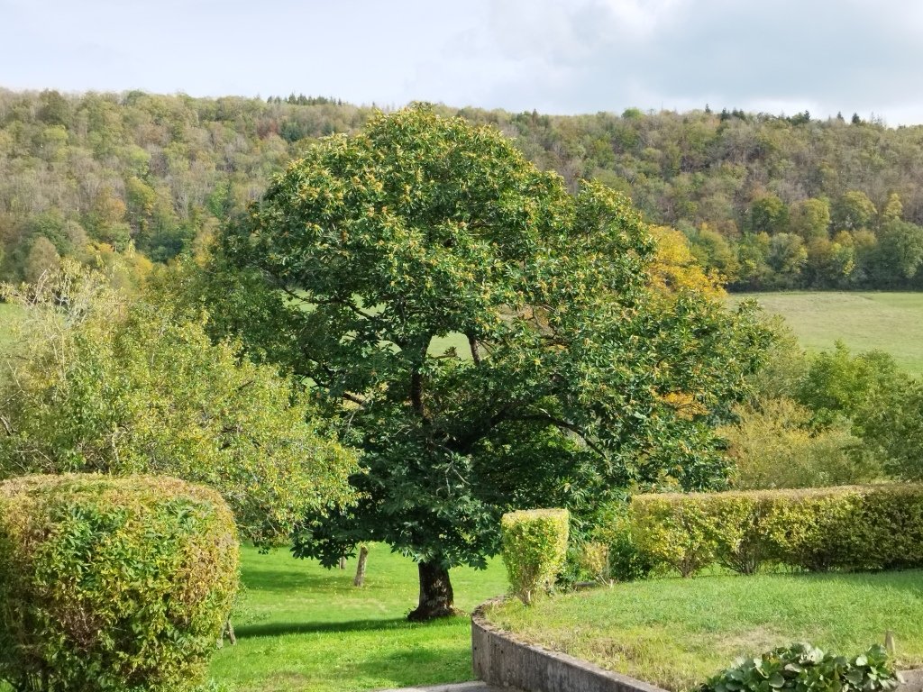 GR 145 - Via Francigena
