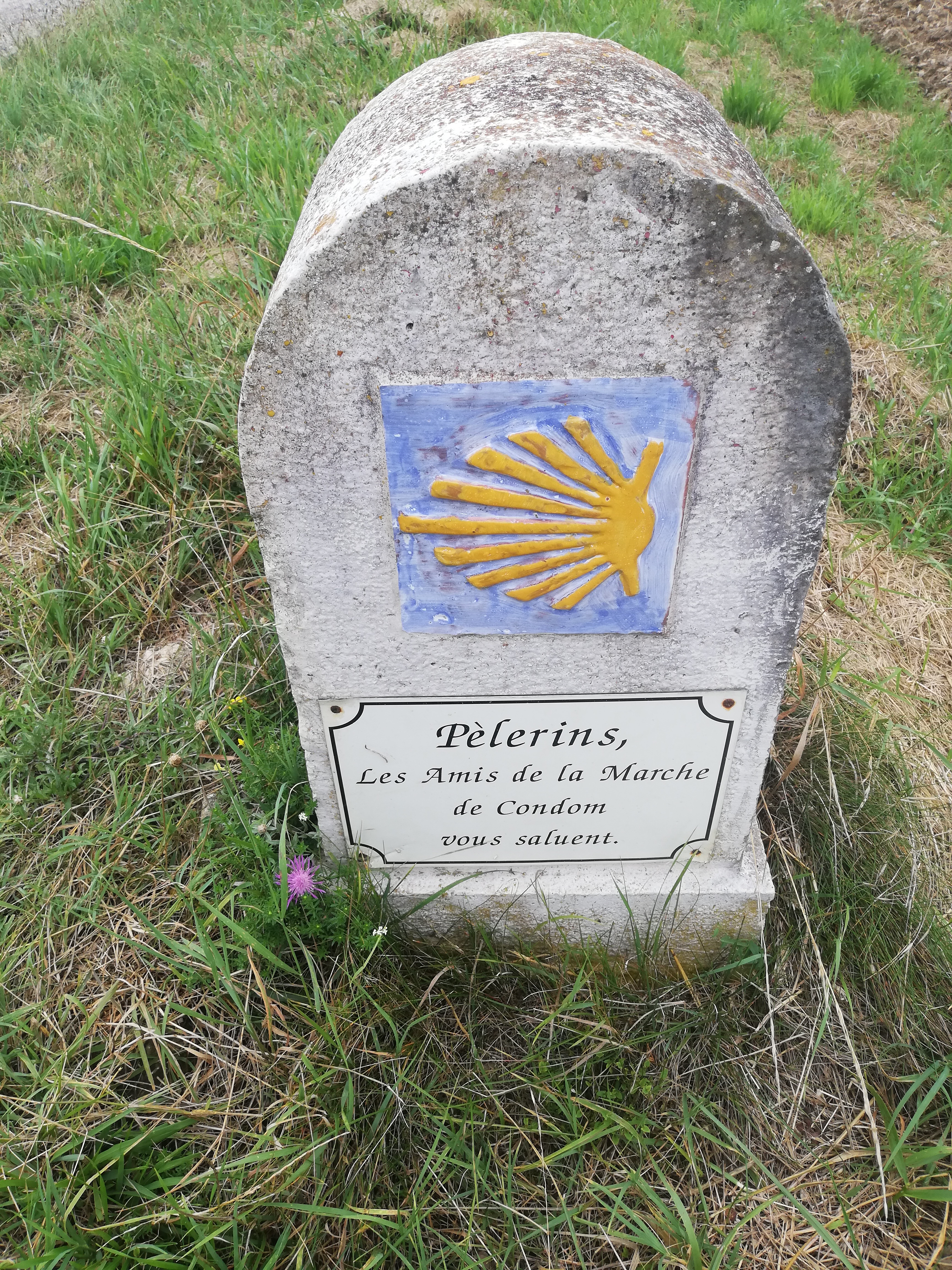 voyager pas cher comment faire