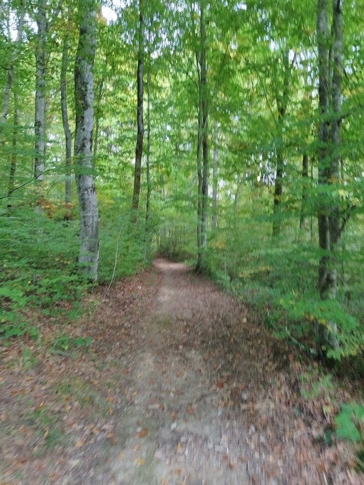 voyager seule en France