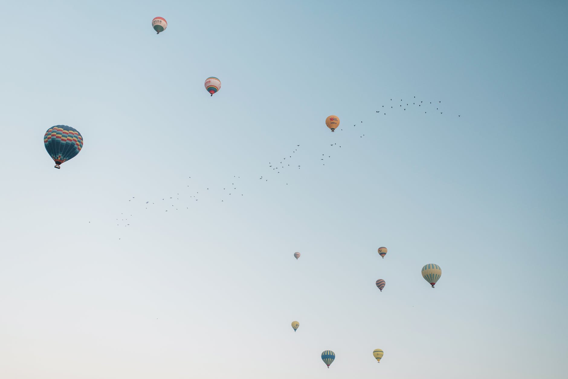 colorful hot air balloons flying in cloudless sky