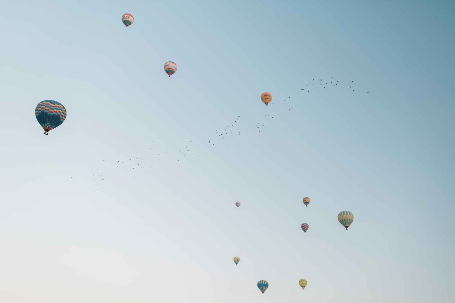 colorful hot air balloons flying in cloudless sky
