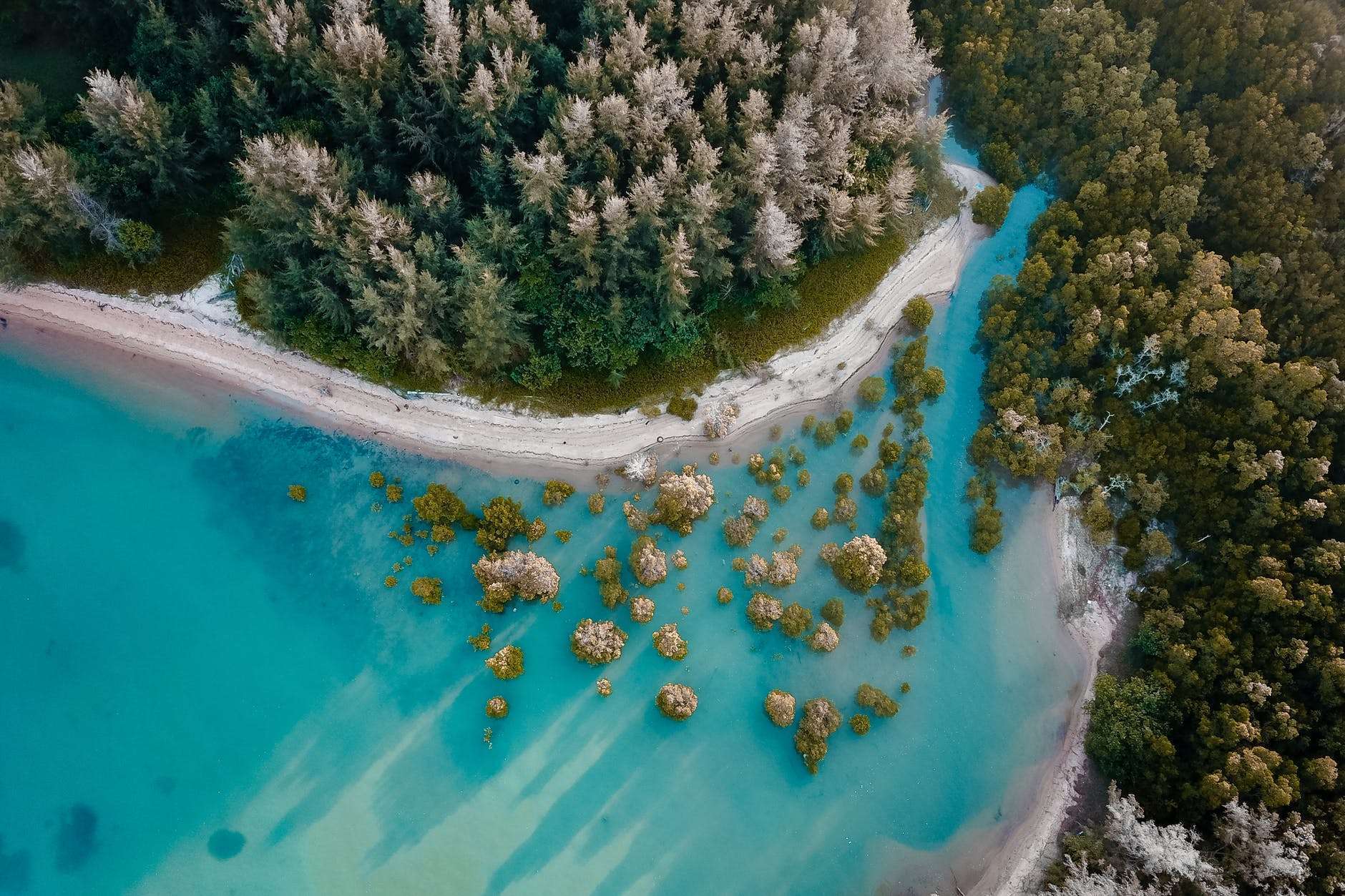green tropical shore with turquoise water