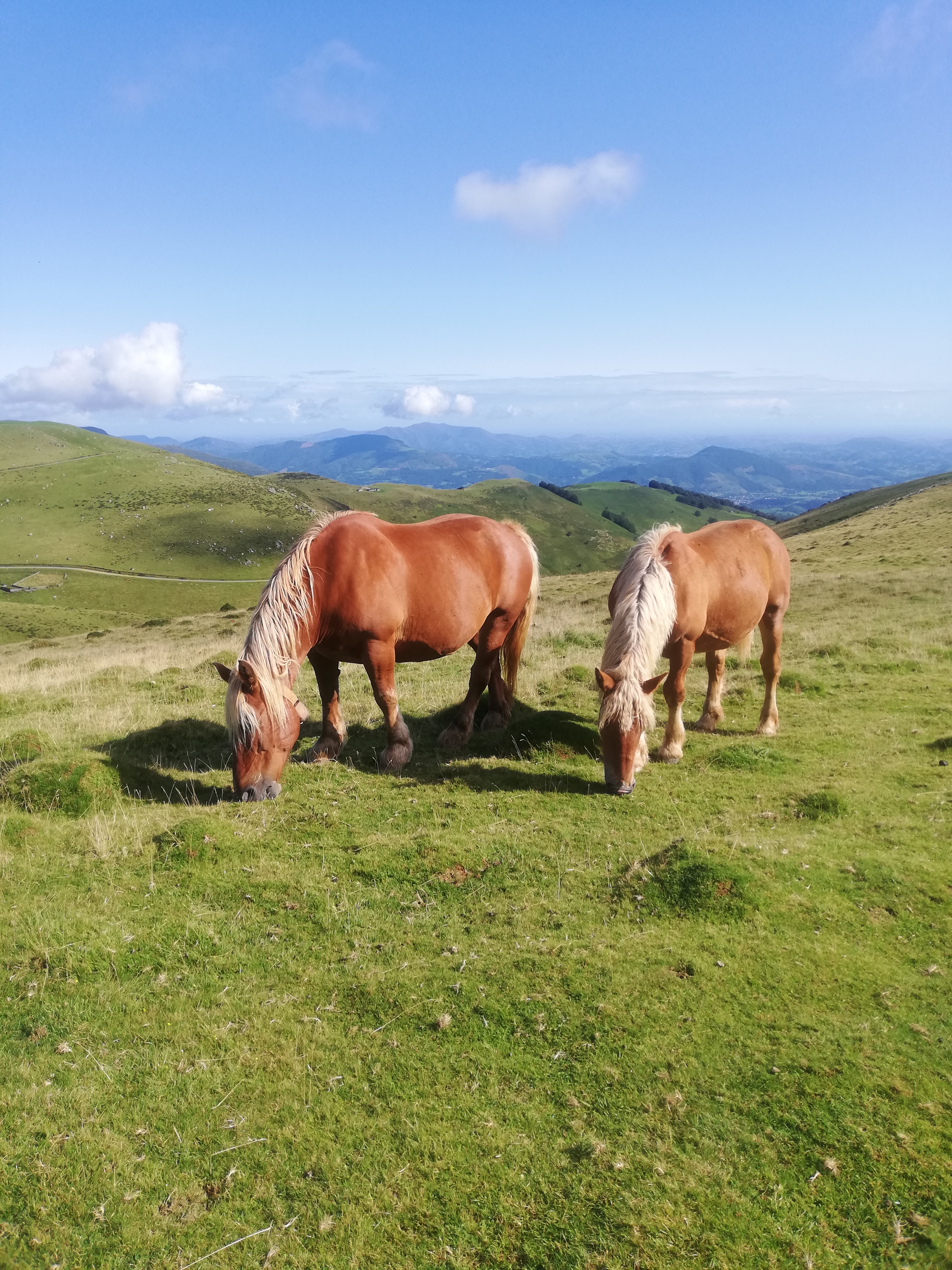 destination voyage solo