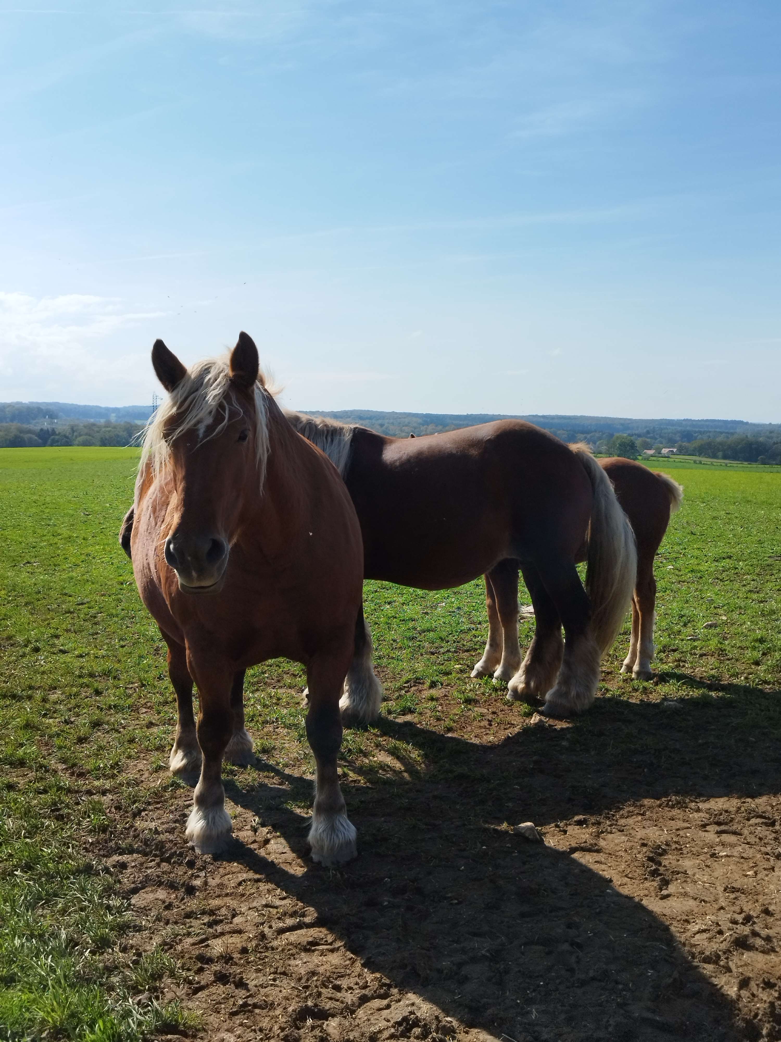 voyager seule en France