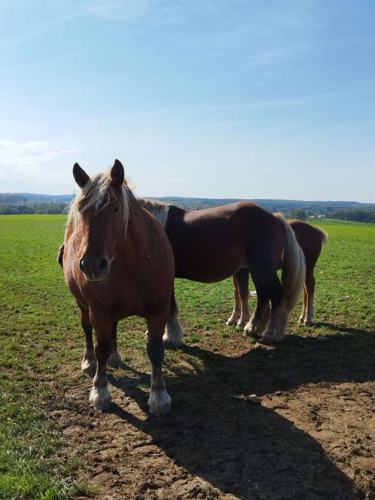 voyager seule en France