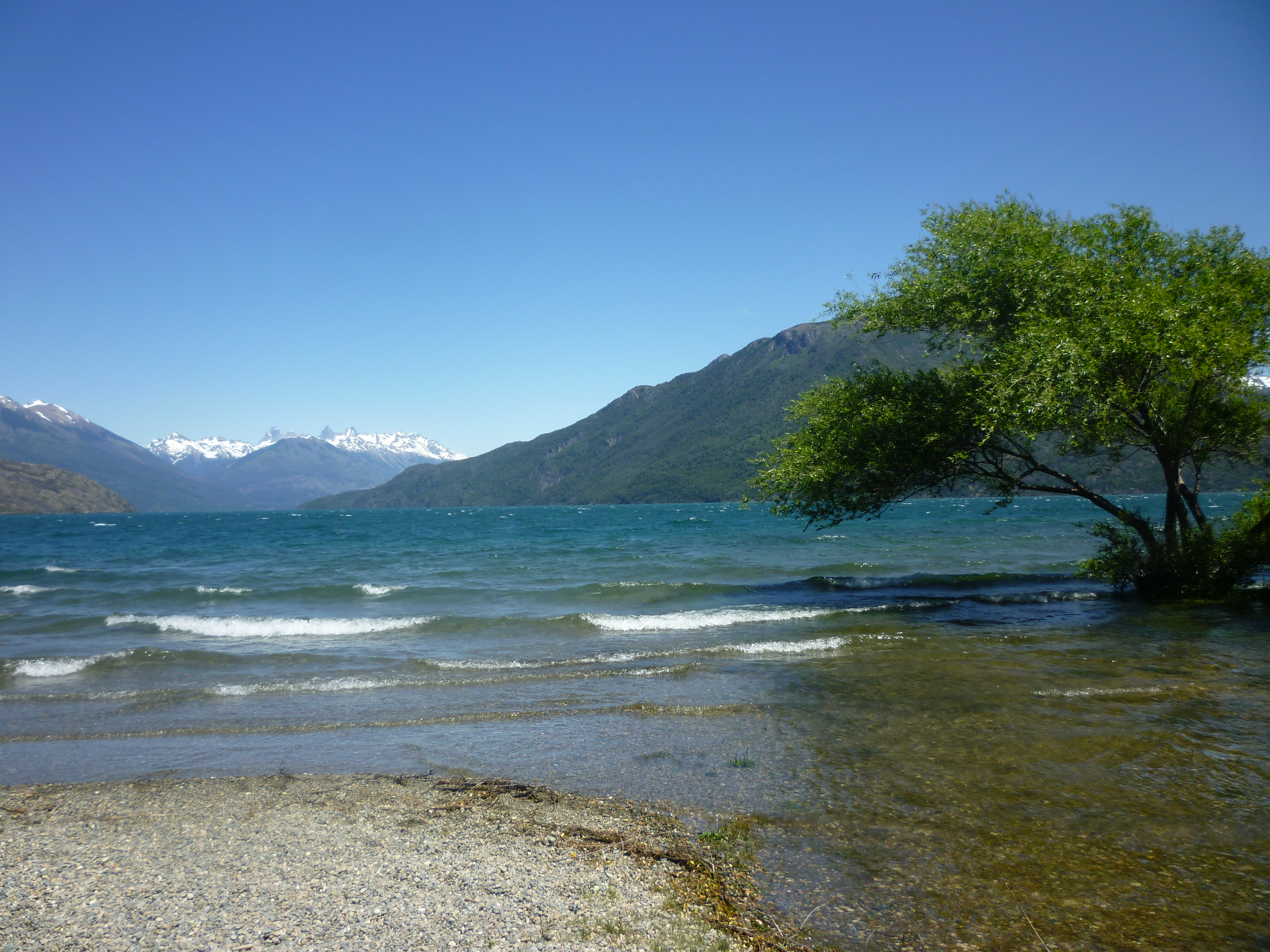 argentine voyage solo