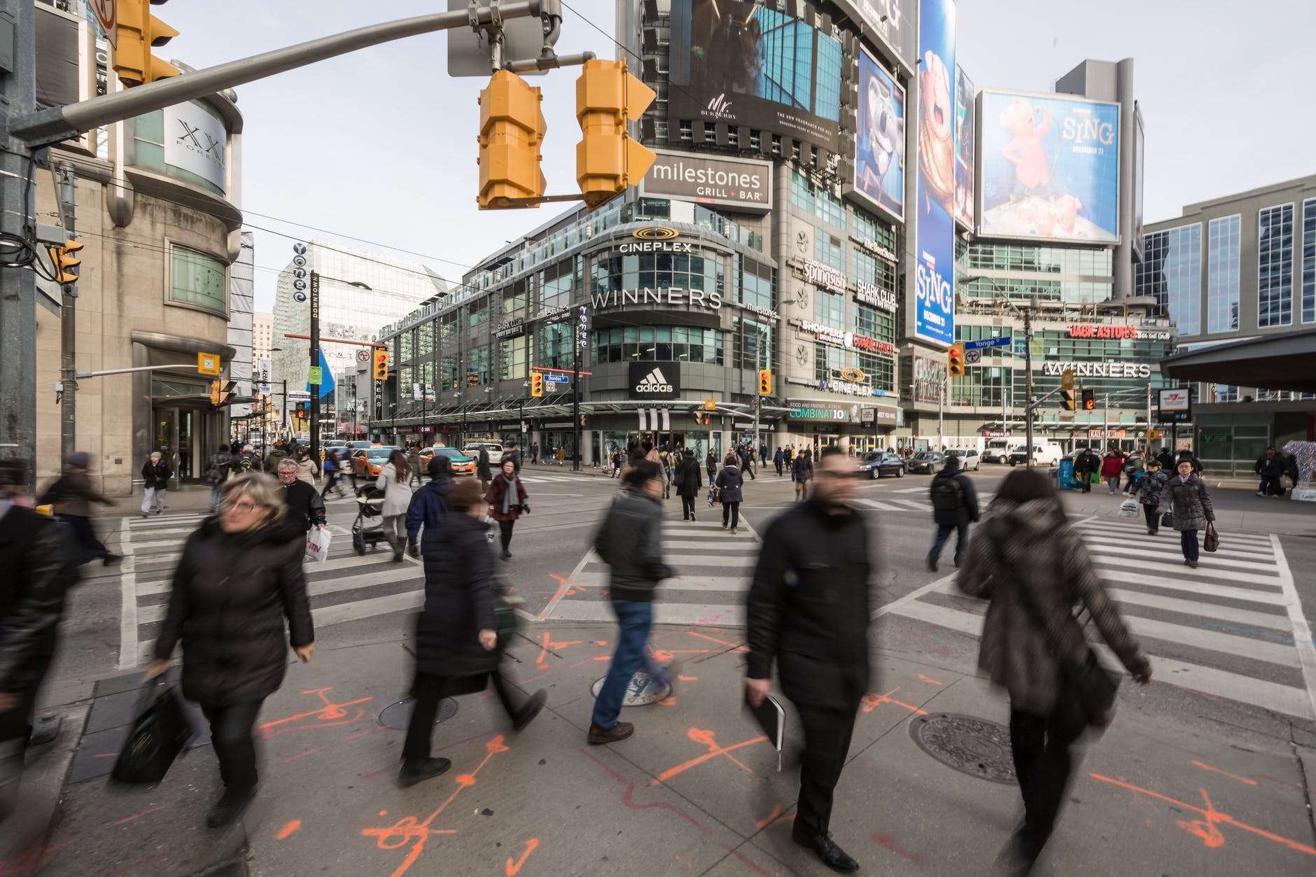 people walking on street
