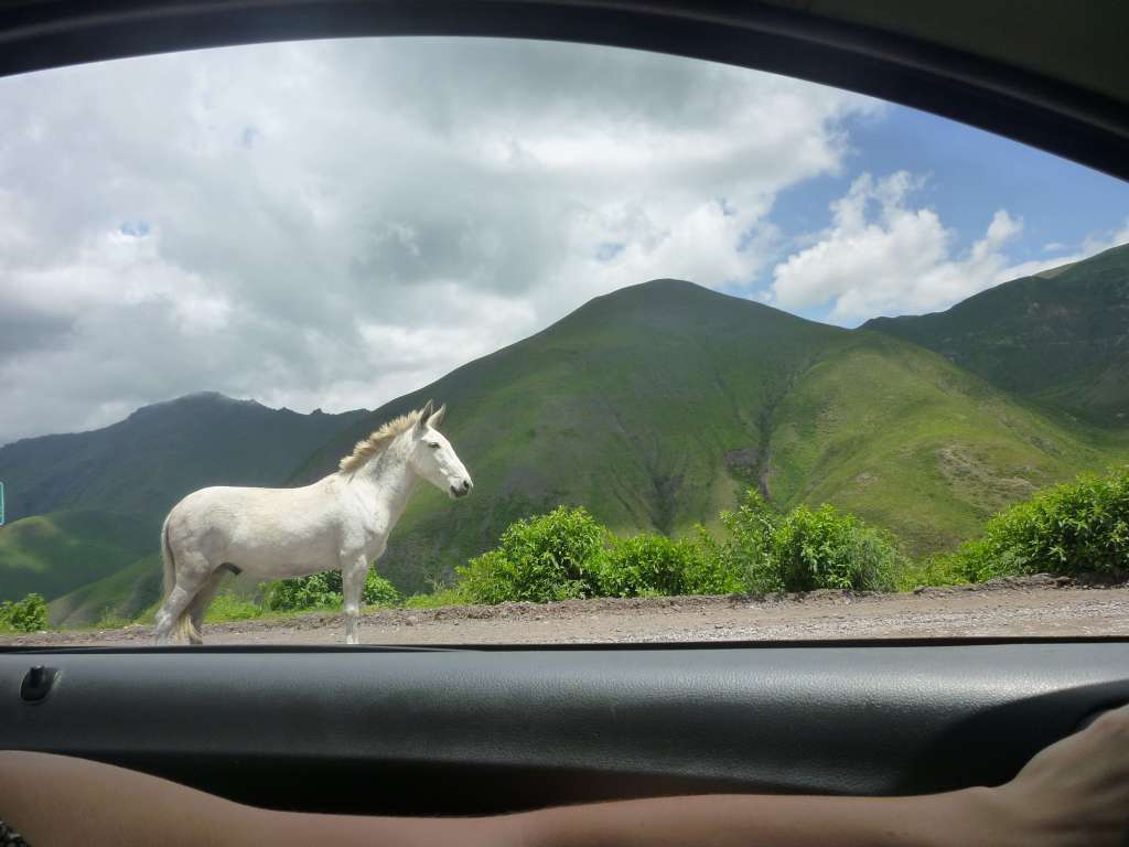 tout quitter et partir loin