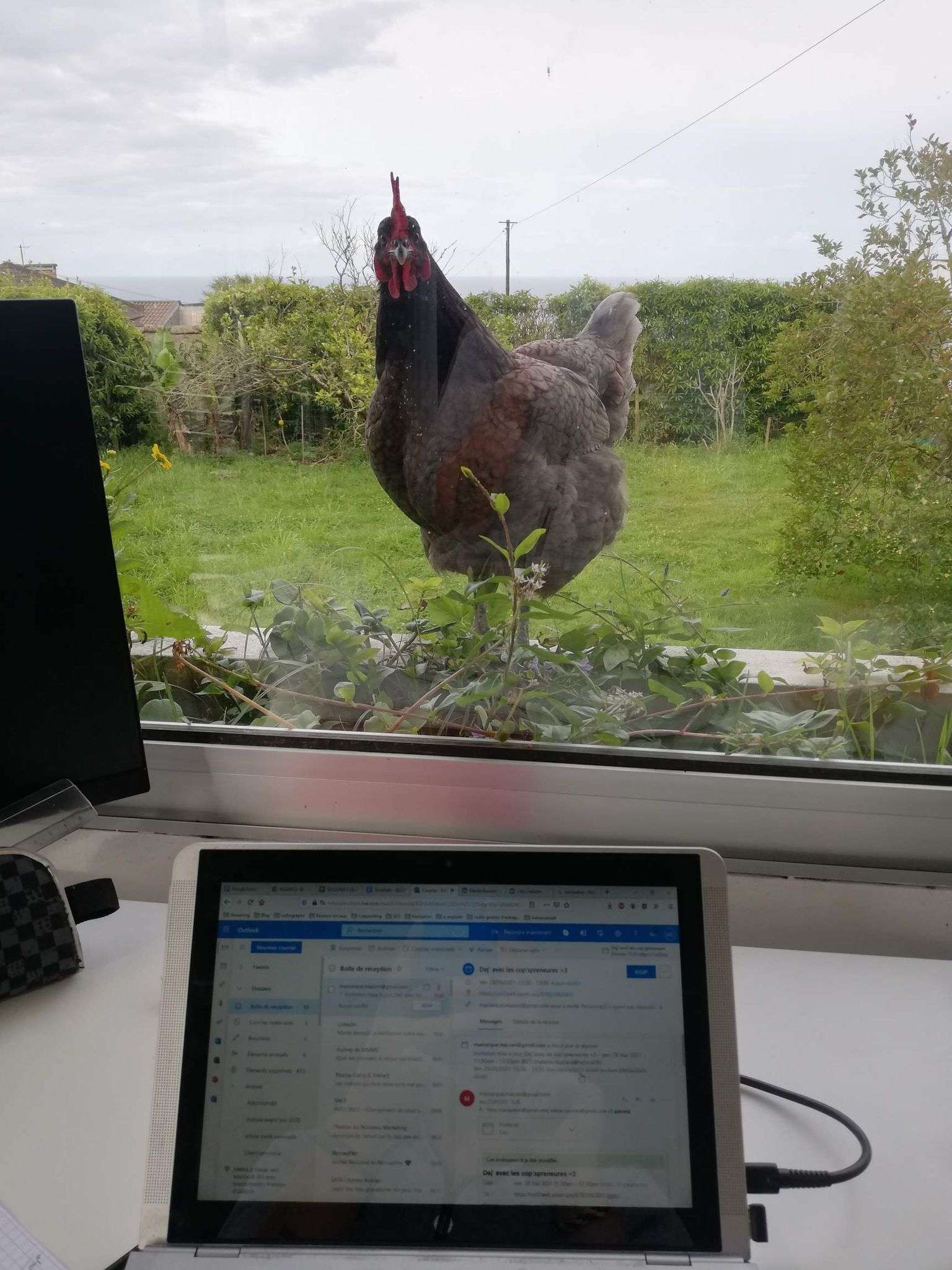 digital nomad coliving