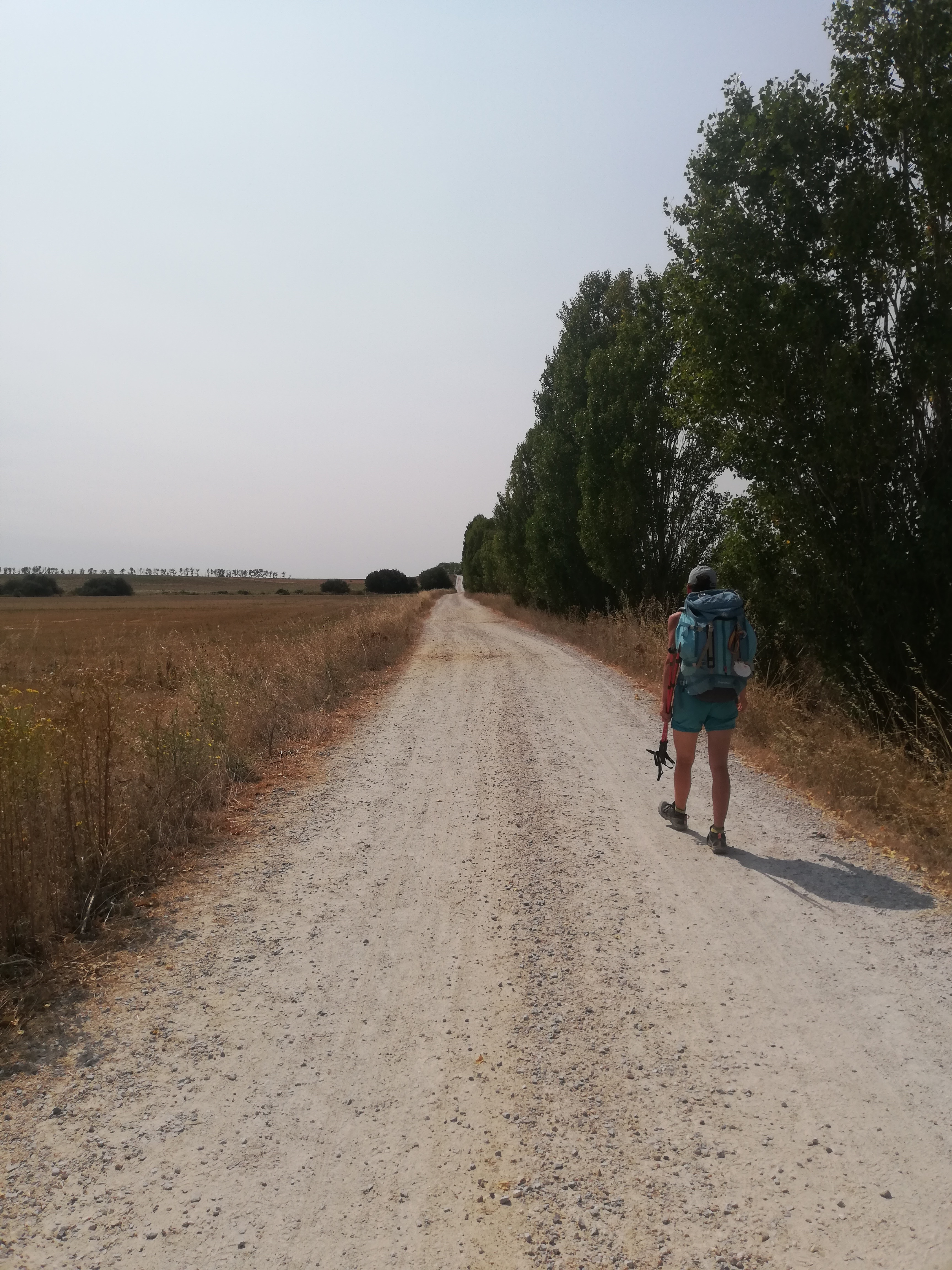 faire le chemin de compostelle