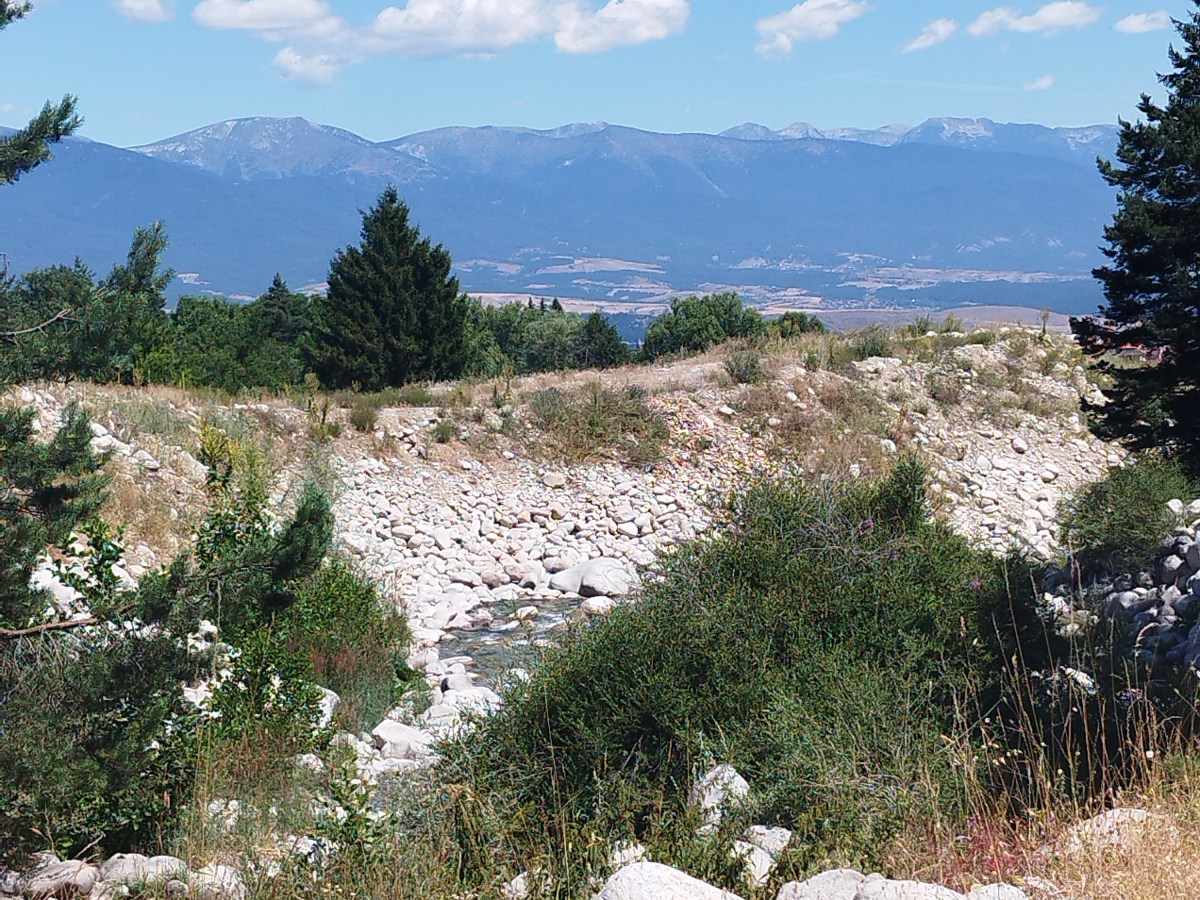 Trouver sa voie : 12 conseils (vraiment)&nbsp;utiles