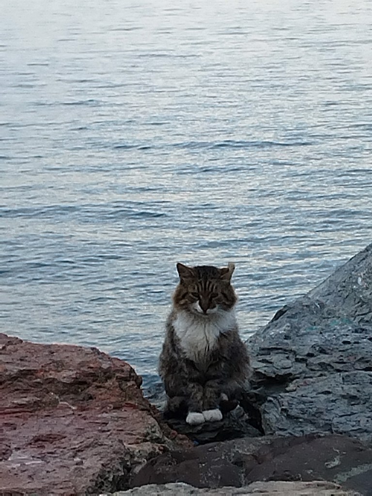 voyager seule istanbul